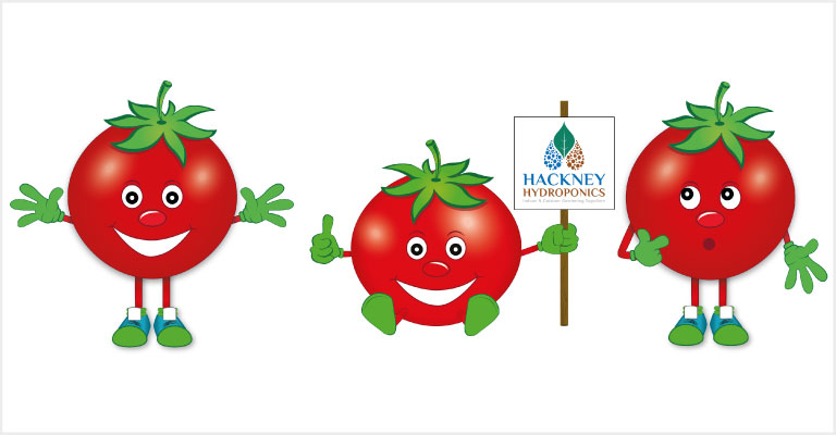 HH Tomato Characters